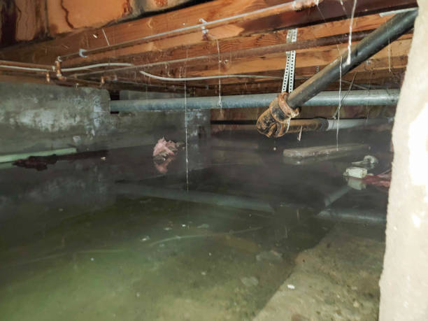 Best Water damage restoration experts  in Lakeside, TX