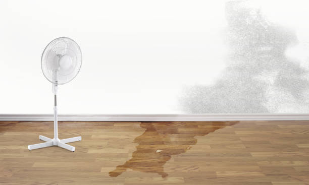  Lakeside, TX Water damage restoration Pros