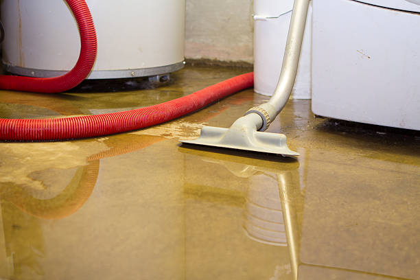 Best Water damage contractors near me  in Lakeside, TX