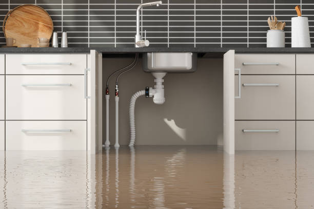 Best Water damage contractors near me  in Lakeside, TX
