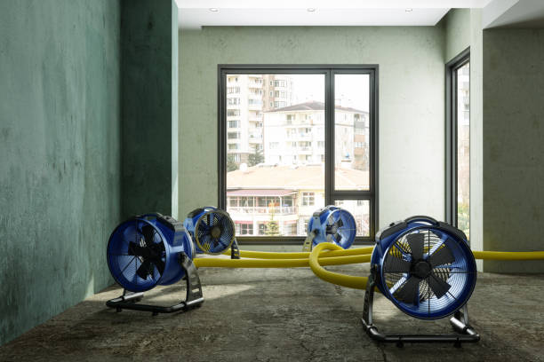 Best Water damage repair service  in Lakeside, TX